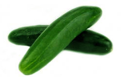 Огуречик, огурец, огурцы, cucumber Огуречик, огурец, огурцы, cucumber