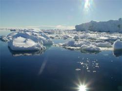 Современные морские льды Современные морские льды