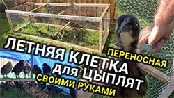 Переносная клетка для цыплят своими руками (летний цыплятник)